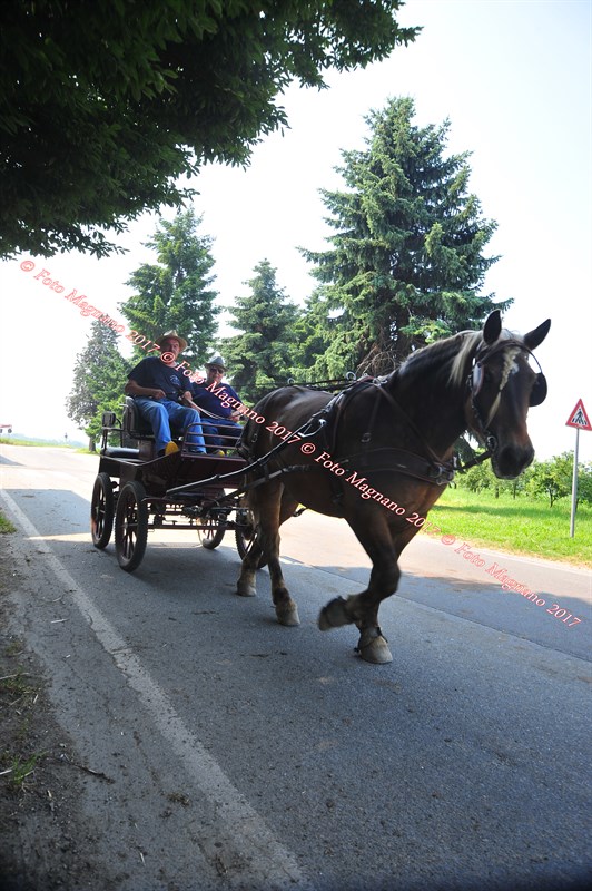 DSC_0882.JPG